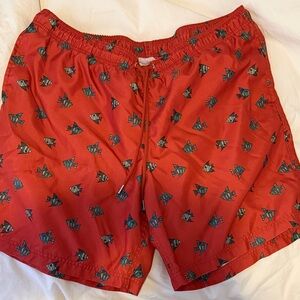 Lands End Swim Shorts